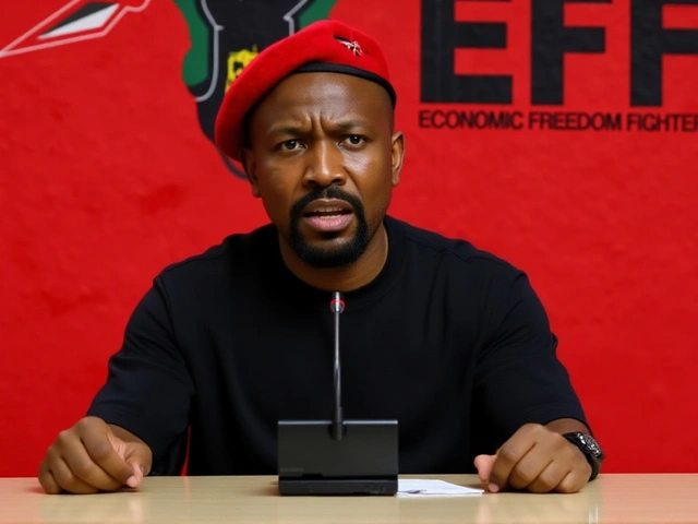 Julius Malema’s firearm trial judgment stretches into third day